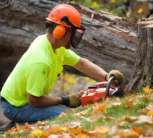 tree services Essex